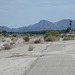 Coachella Valley Bikeway (4520)