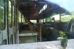 bus-inneres-1170148