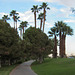 Palm Springs Bikeway (4562)
