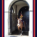 A mounted sentry from The Royal Horse Artillery - Whitehall - 23.8.2005