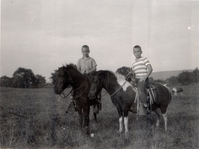 Scott and John Tarpley at their Uncle Otto's farm, Whitwill, TN, early '60s