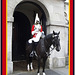 A mounted sentry from The Life Guards at Whitehall, London, 16.9.2005