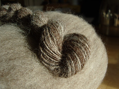This is unwashed alpaca carded only once. Rose Gray with chocolate spots