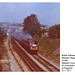 BR D1062 Western Courier Paignton 31 7 1977