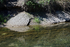 1 The Traventine Creek -Sulphur OK