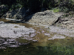 2  The Traventine Creek -Sulphur OK