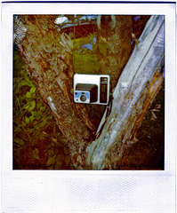 Kodak Handle Instant Film Camera