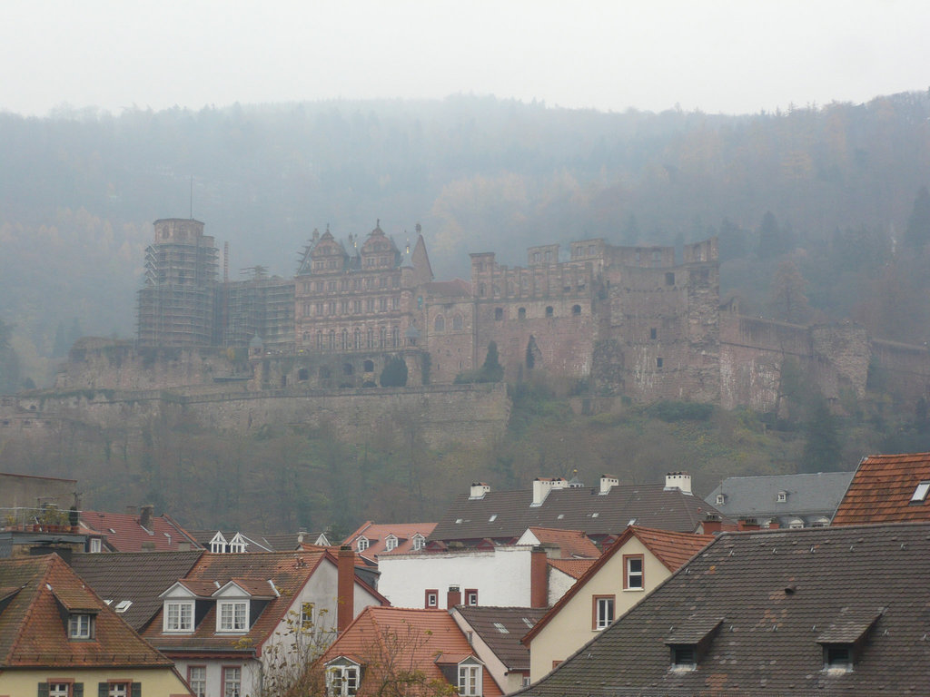 Schloss Heidelberg im Nebel