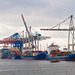 Hamburg Containerhafen DSC03532