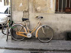 Florentine bikes