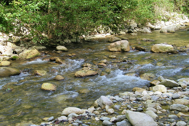 Rivière Vernaison