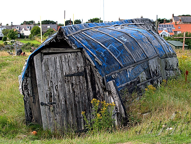 The Upsidedown Boat Sheds of Lindisfarne