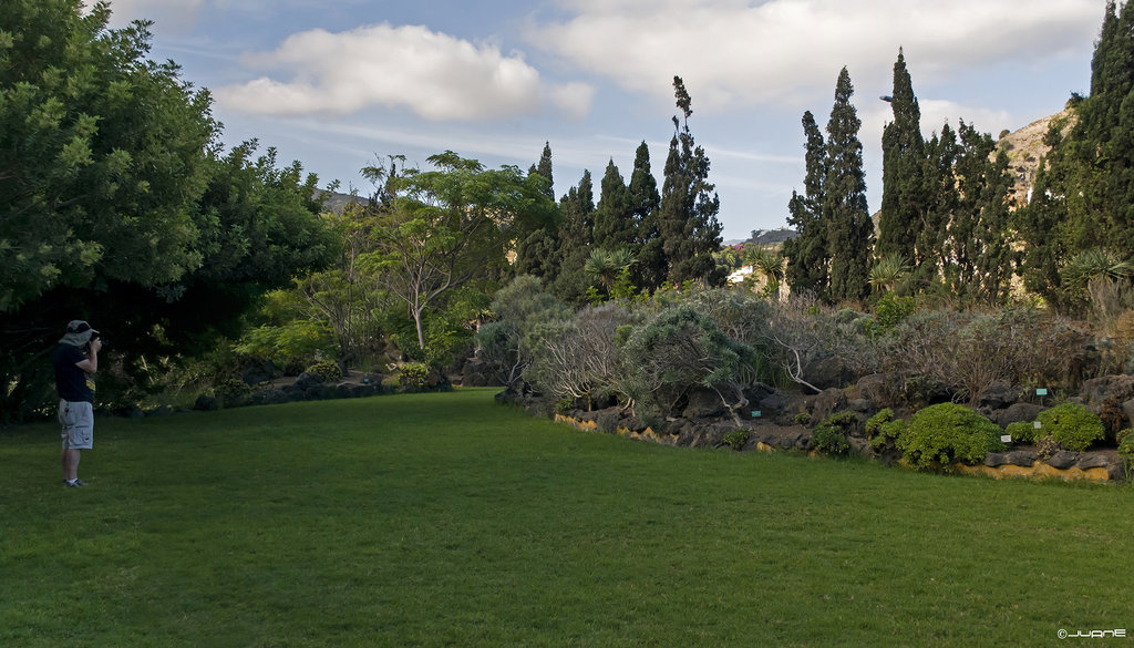 Jardin Botanico Canario