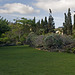 Jardin Botanico Canario