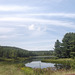 Hawkin Pond Nature Area.