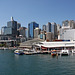 Sydney from Darling Harbor