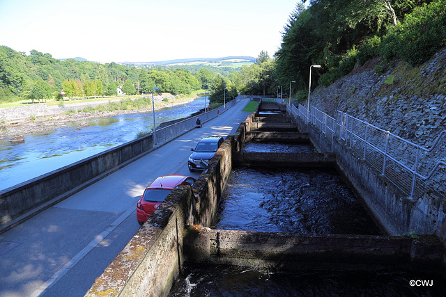 The Salmon Ladder at the Faskally Dam