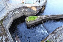 Entry to the Salmon Ladder at Faskally