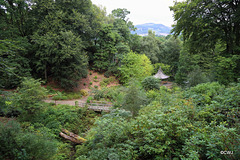 The Scottish Explorers' Garden at Faskally