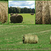 collage of bales