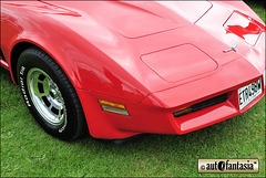 1981 Corvette - ETR 498W