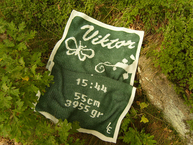 Viktor's blanket