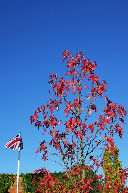 British Autumn