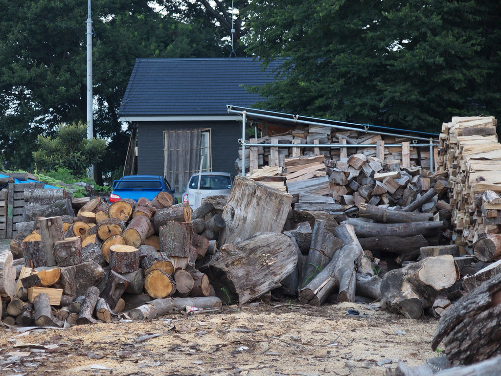 Cut and prepare wood for winter