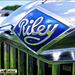 1969 Riley Elf - TVY 57H