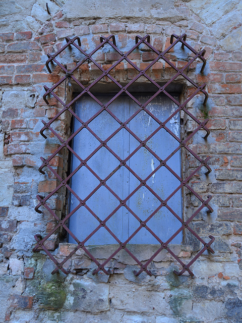 Halle (Saale) 2013 – Window