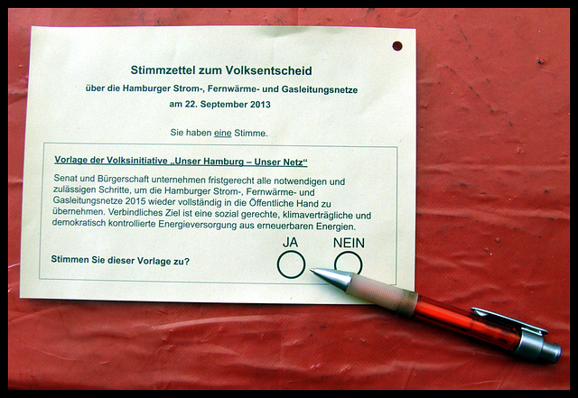 Bundestagswahl 2013 und Volksentscheid Netze in Hamburg Mitte
