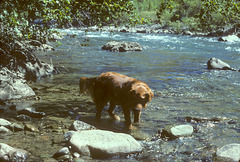 Sara in the creek