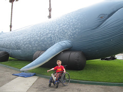 Big Blue Whale Bash, Redondo Beach