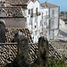 Monte Sant'Angelo- Tiles and Chimneys