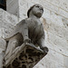 Bari- Sphinx-like Creature, Basilica di San Nicola