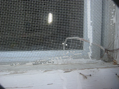 metalic mesh antenna  close up