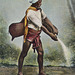 The Water Carrier Bhistee