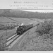 41245 near Axbridge on the last day of the Yatton to Wells railway line - 7.9.1963