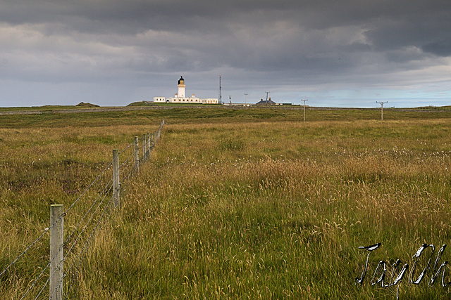 Noss Head Lighthouse, Caithness - Beautiful Wasteland