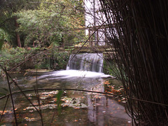 Waterfall at Scampston