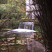 Waterfall at Scampston