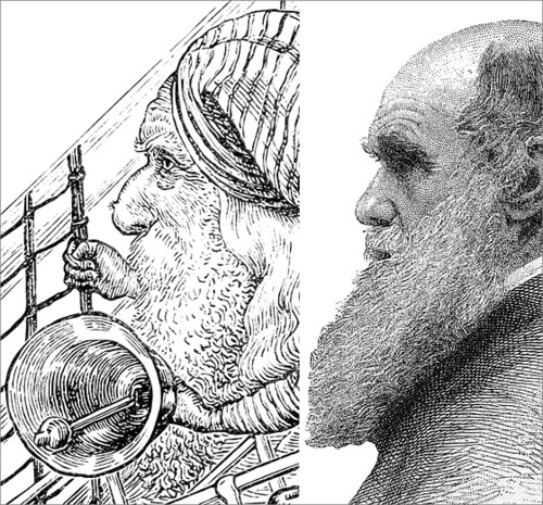 The Bellman and Charles Darwin