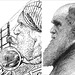 The Bellman and Charles Darwin