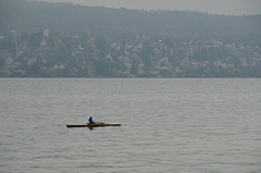 Rower on Zurichersee
