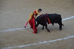 Madrid Bullfights