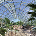 Cactus House Panorama - 50 Megapixels
