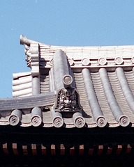 Japanese Roof - Detail