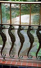 Seahorse railing