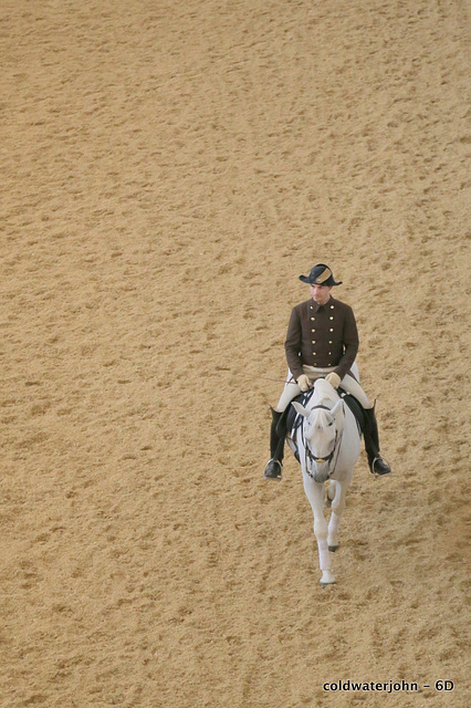 Morning exercise at The Spanish Riding School in the Hofburg Palace