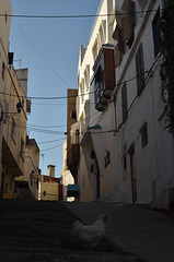 Tangiers